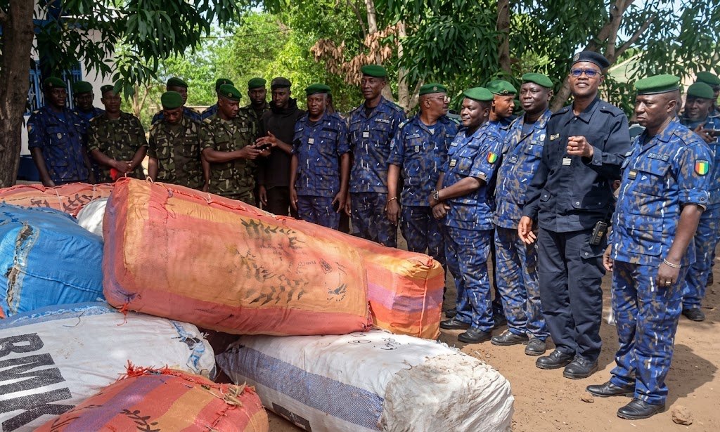 Lola : 223 kg de chanvre indien saisis, trois personnes interpellées