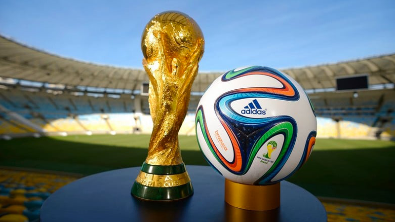 Coupe du Monde 2022 : Voici les dix (10) équipes qualifiées pour les barrages en Zone Afrique !