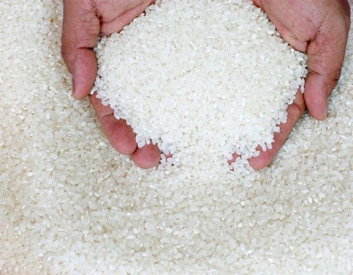 riz_blanc.jpeg